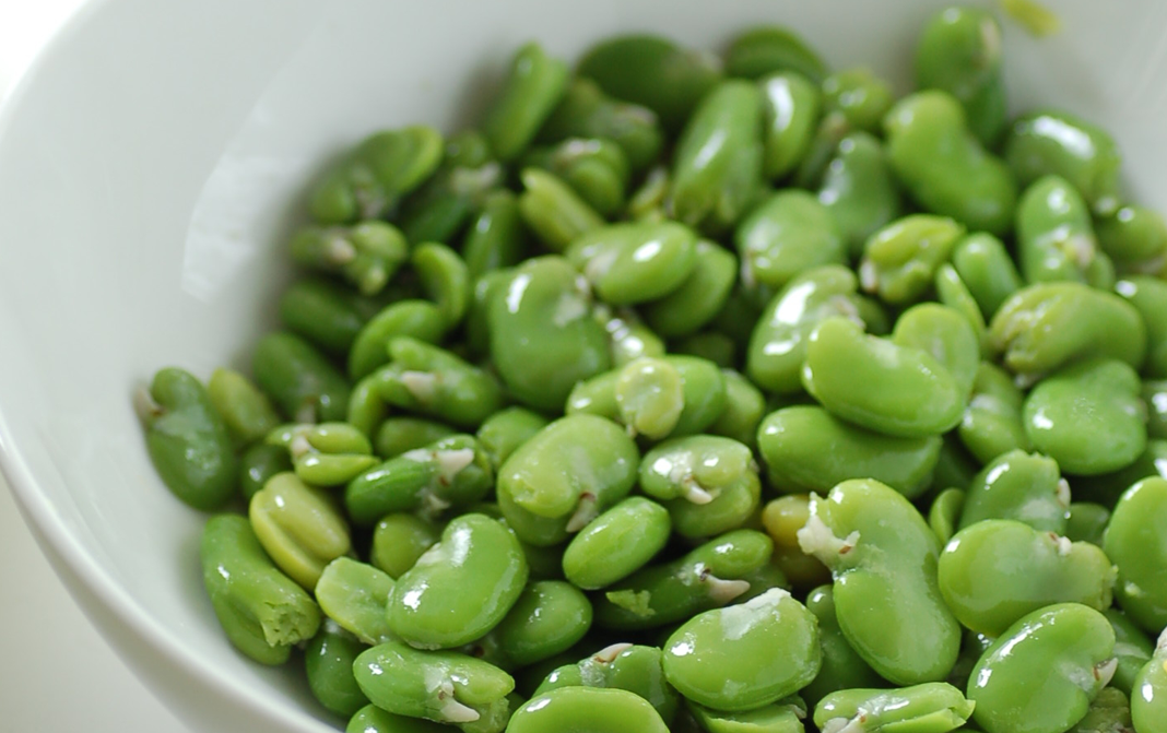 Fresh broad Beans. Broad Beans.