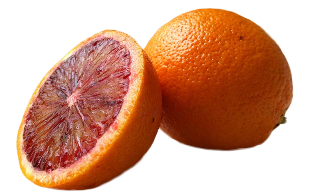 are blood oranges safe for dogs